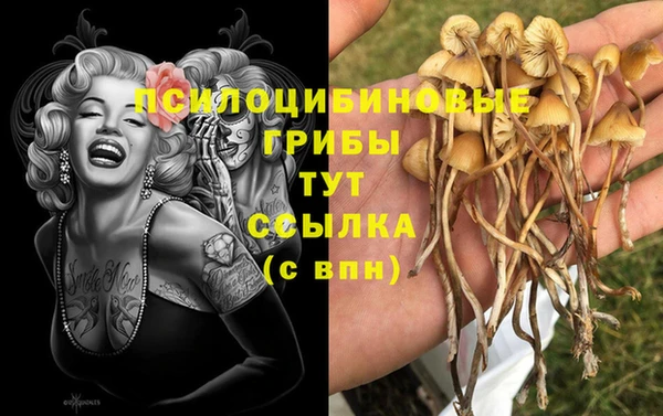 mdpv Осинники