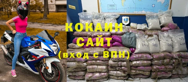 дживик Абаза