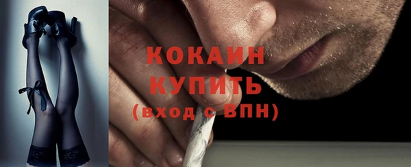 дживик Абаза