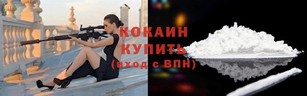 дживик Абаза