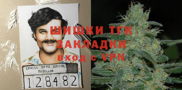 ПСИЛОЦИБИНОВЫЕ ГРИБЫ Осташков