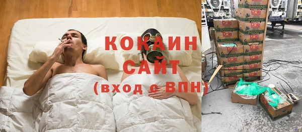 дживик Абаза