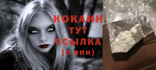 ПСИЛОЦИБИНОВЫЕ ГРИБЫ Осташков