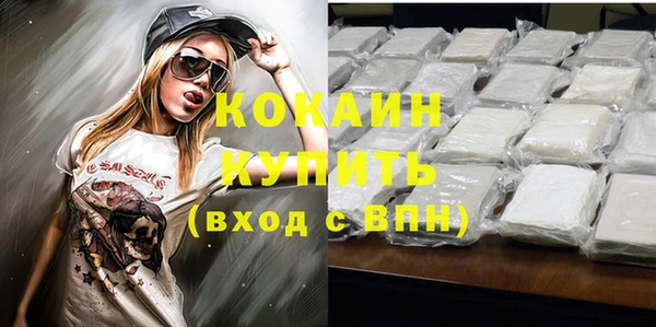 ПСИЛОЦИБИНОВЫЕ ГРИБЫ Осташков