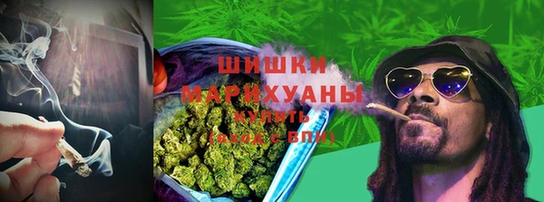 дживик Абаза