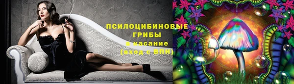 mdpv Осинники