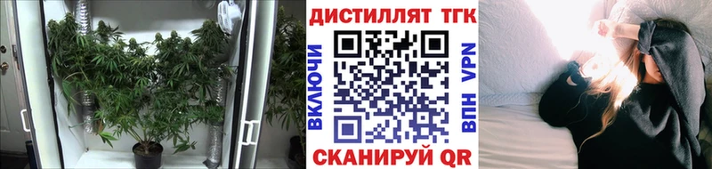 Дистиллят ТГК Wax  наркота  Темников 