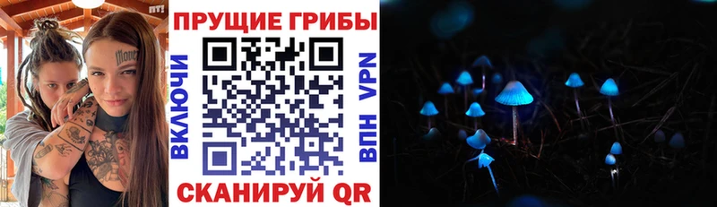 Псилоцибиновые грибы ЛСД Темников
